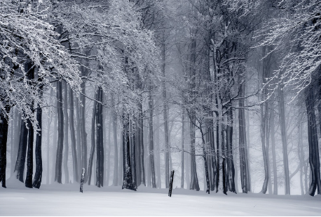 小型气动隔膜泵